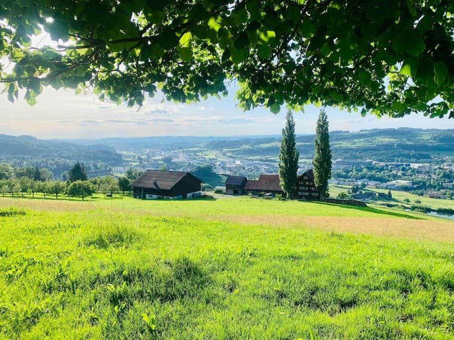 Holiday home Ferien Auf Dem Birkenhof Herisau